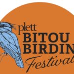 BITOU BIRDING FESTIVAL