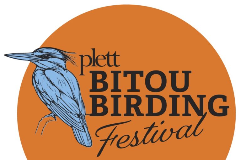 BITOU BIRDING FESTIVAL
